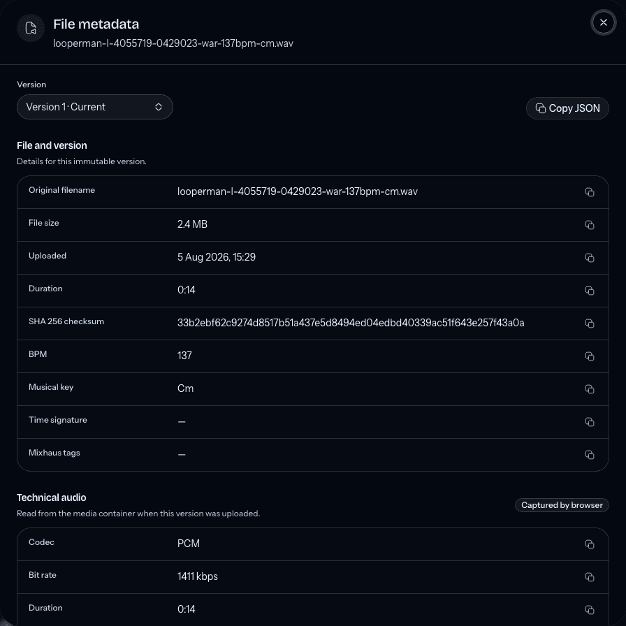 The File metadata dialog showing version details, checksum, and technical audio fields