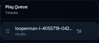 The Play Queue panel with the active Library track